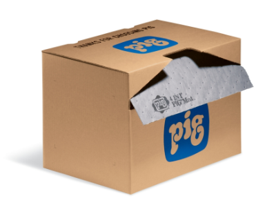 newpigMAT3004